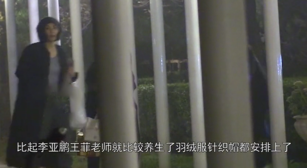 王菲深夜现身李亚鹏居所 两人前后脚出门心情极好