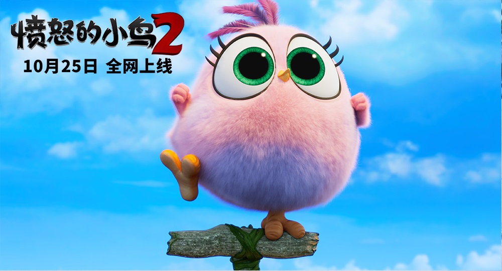 超萌小小鸟